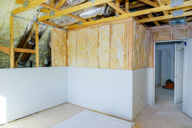 Best Geographic-Specific Insulation Services in Clear Lake, WI